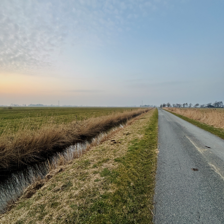 Eine Landstraße auf Eiderstedt