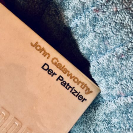 Das Buch "Der Patrizier"