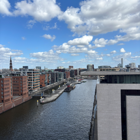 Panoramablick von der Elphi