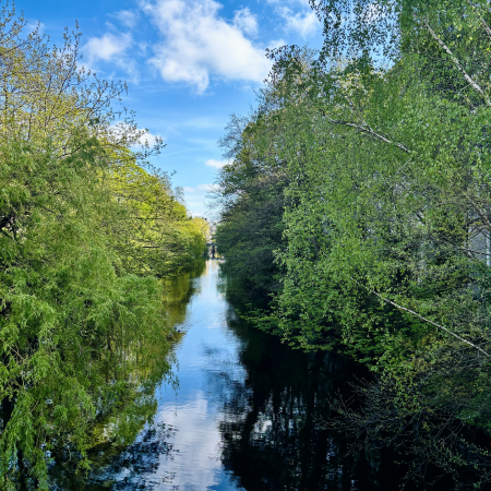 Blick über den Isebekkanal mit grünen Bäumen am Ufer