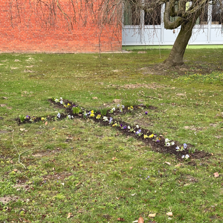 Ein Stiefmütterchenkreuz auf Rasen vor Kirche