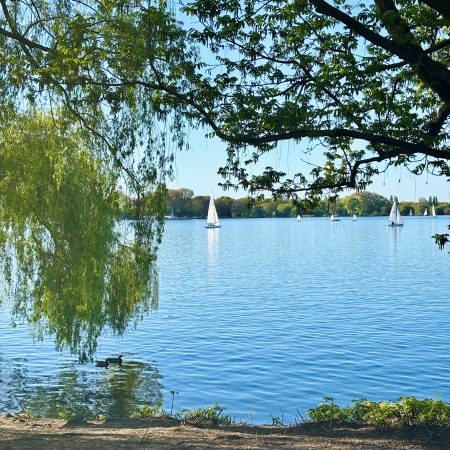 Blick über die Außenalster mit weißen Segeln im Hintergrund