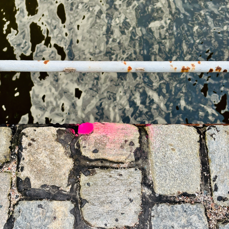 Blick ins Wasser von einer Brücke in der Speicherstadt, mit einem markanten, pinkfarbenem Fleck auf einem Pflasterstein