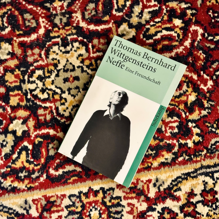 Das Buch Wittgensteins Neffe