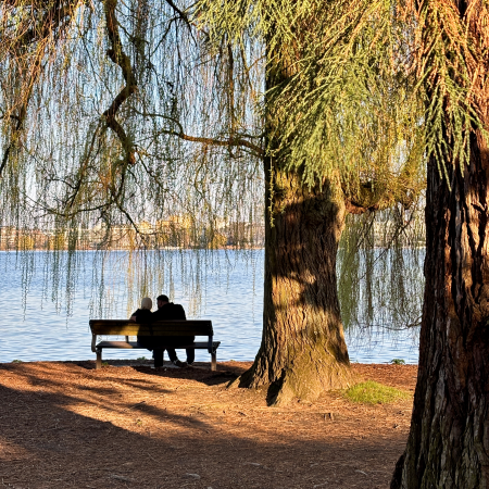 Ein Paar auf einer Bank am Ufer der Außenalster, von hinten aufgenommen