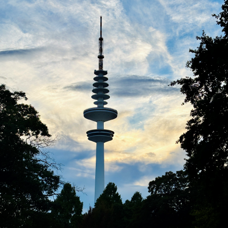Der Fernsehturm im Abendlicht, von Planten & Blomen aus aufgenommen