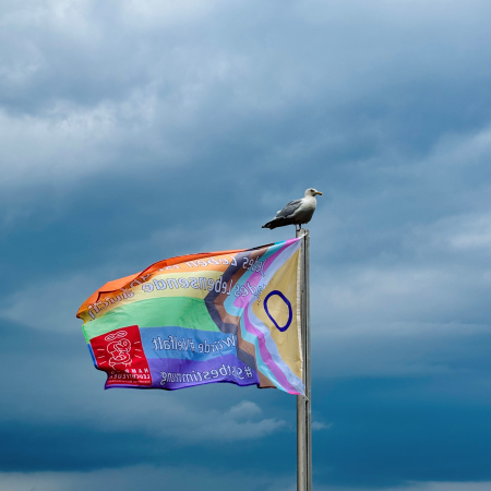 Eine Möwe auf einem Fahnenmast, an dem die Pride-Flagge weht