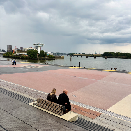 Blick vom Westfield über die Elbe