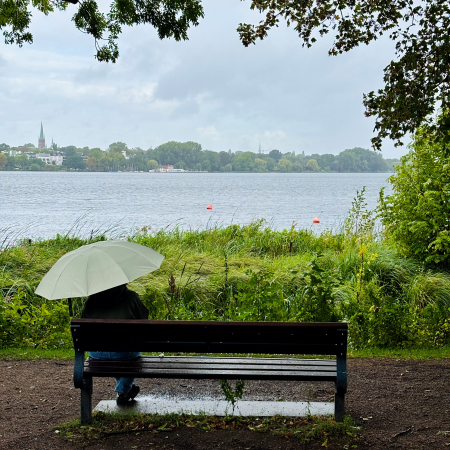 Ein Mensch unter einem grünen Regenschirm auf einer Bank an der Außenalster, von hinten gesehen