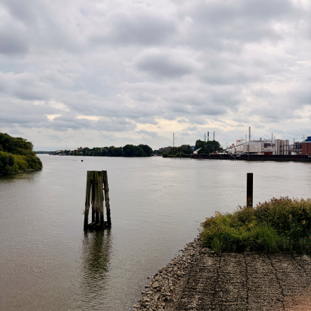 Die neue Entenwerderbrücke - Blick auf den Fluss