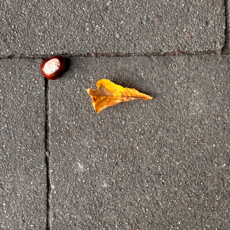 Eine Kastanie auf dem Pflaster, daneben ein welkes Blatt