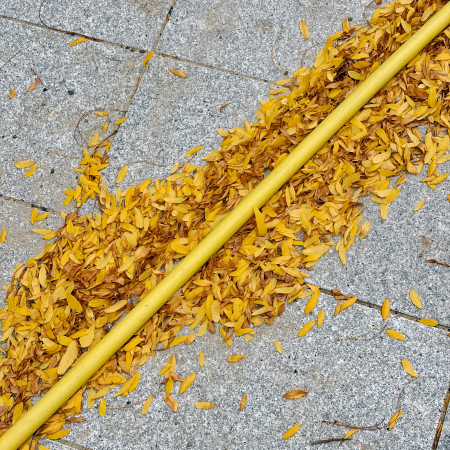 Herbstlaub auf dem Boden, darin ein gelbes Kabel