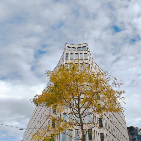 Herbstlaub vor Innenstadtgebäude