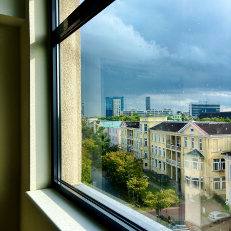 Blick über Sankt Georg aus einem hohen Fenster, Richtung Berliner Tor