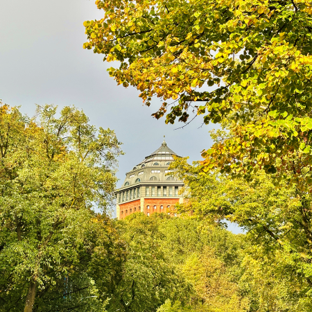 Blick durch herbstliches Laub auf das Möwenpick-Hotel am Schanzenpark