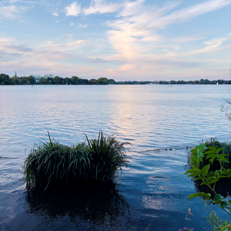 Blicm über die abendliche Außenalster