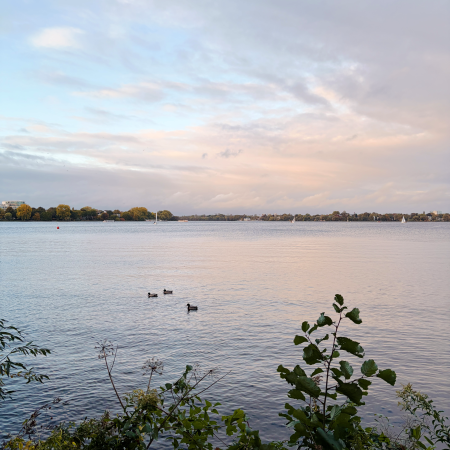 Blick über die Außenalster im Abendlicht