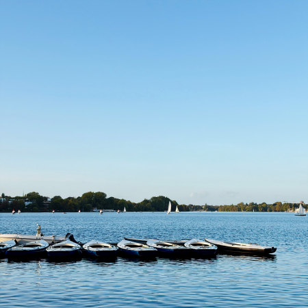 Blick über die Außenalster, Tretboote im Vordergrund
