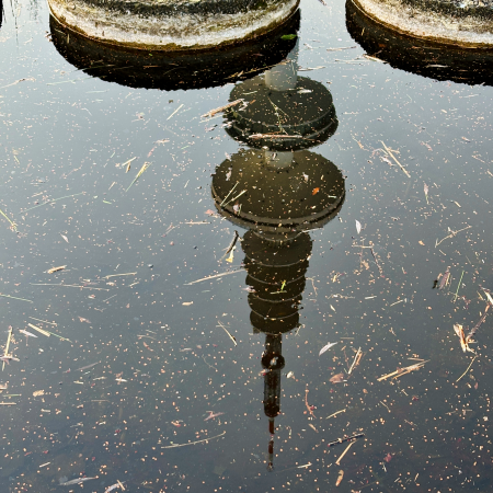 Der Fernsehturm spiegelt sich auf einer Wasserfläche voller Laub in Planten un Blomen