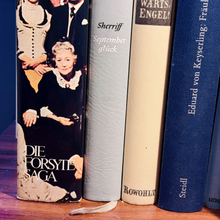 Der Band "Forsyte-Saga" von Galsworthy