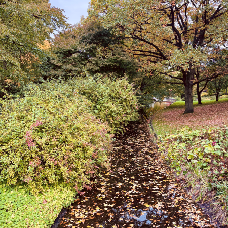 Herbstliche Impression in Planten un Blomen