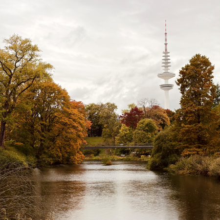 Herbstliche Impression in Planten un Blomen, der Fernsehturm im Hintergrund